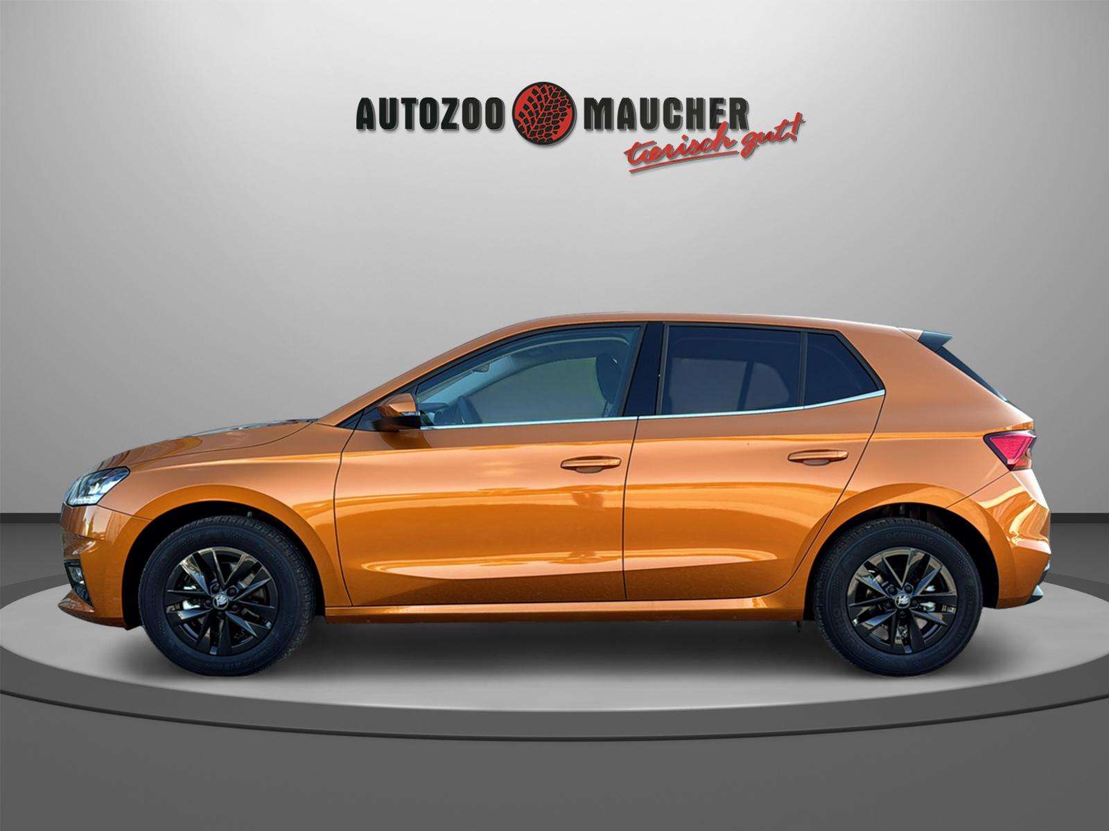 Fahrzeugbild eines Skoda Fabia