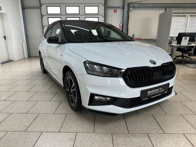 Fahrzeugbild eines Skoda Fabia