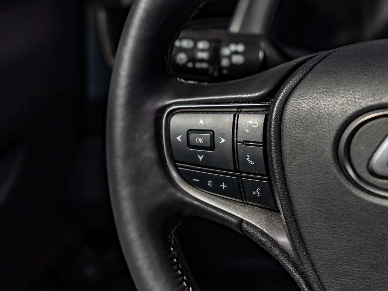 Fahrzeugbild eines Lexus UX