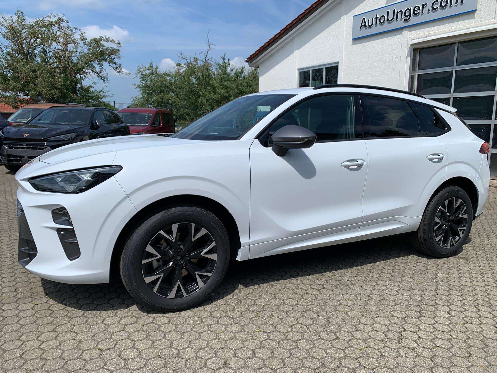 Fahrzeugbild eines CUPRA Terramar