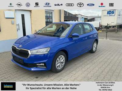 Bild Skoda Fabia