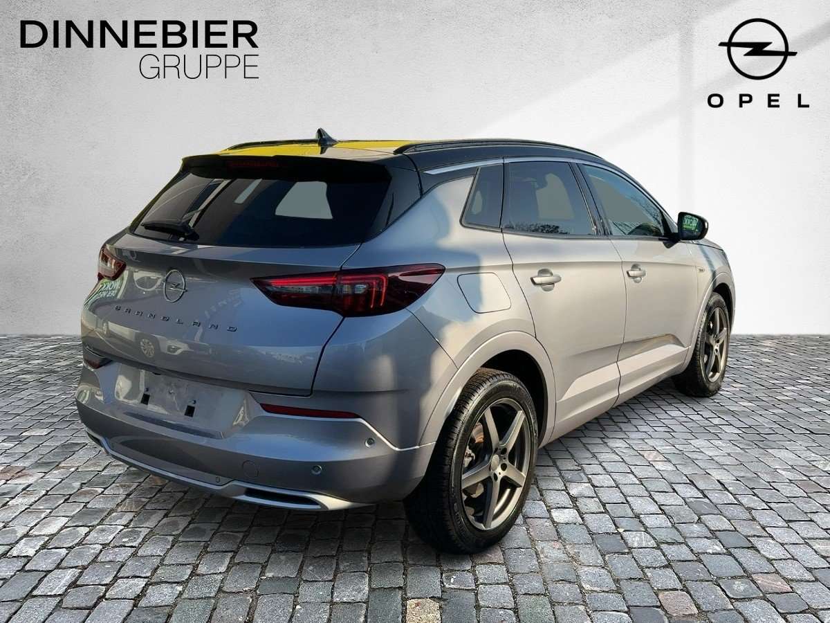 Fahrzeugbild eines Opel Grandland X