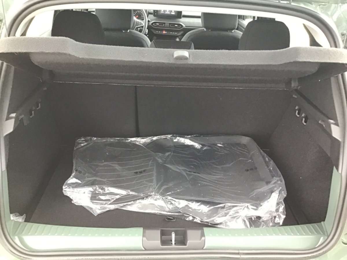 Fahrzeugbild eines Dacia Sandero