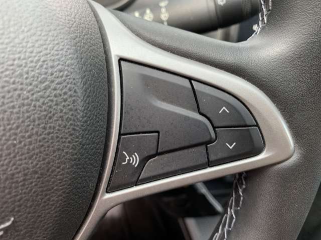 Fahrzeugbild eines Dacia Duster