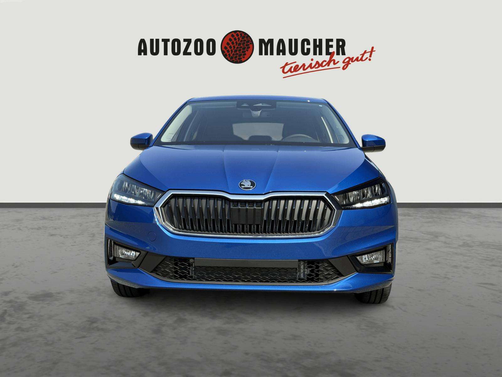Fahrzeugbild eines Skoda Fabia