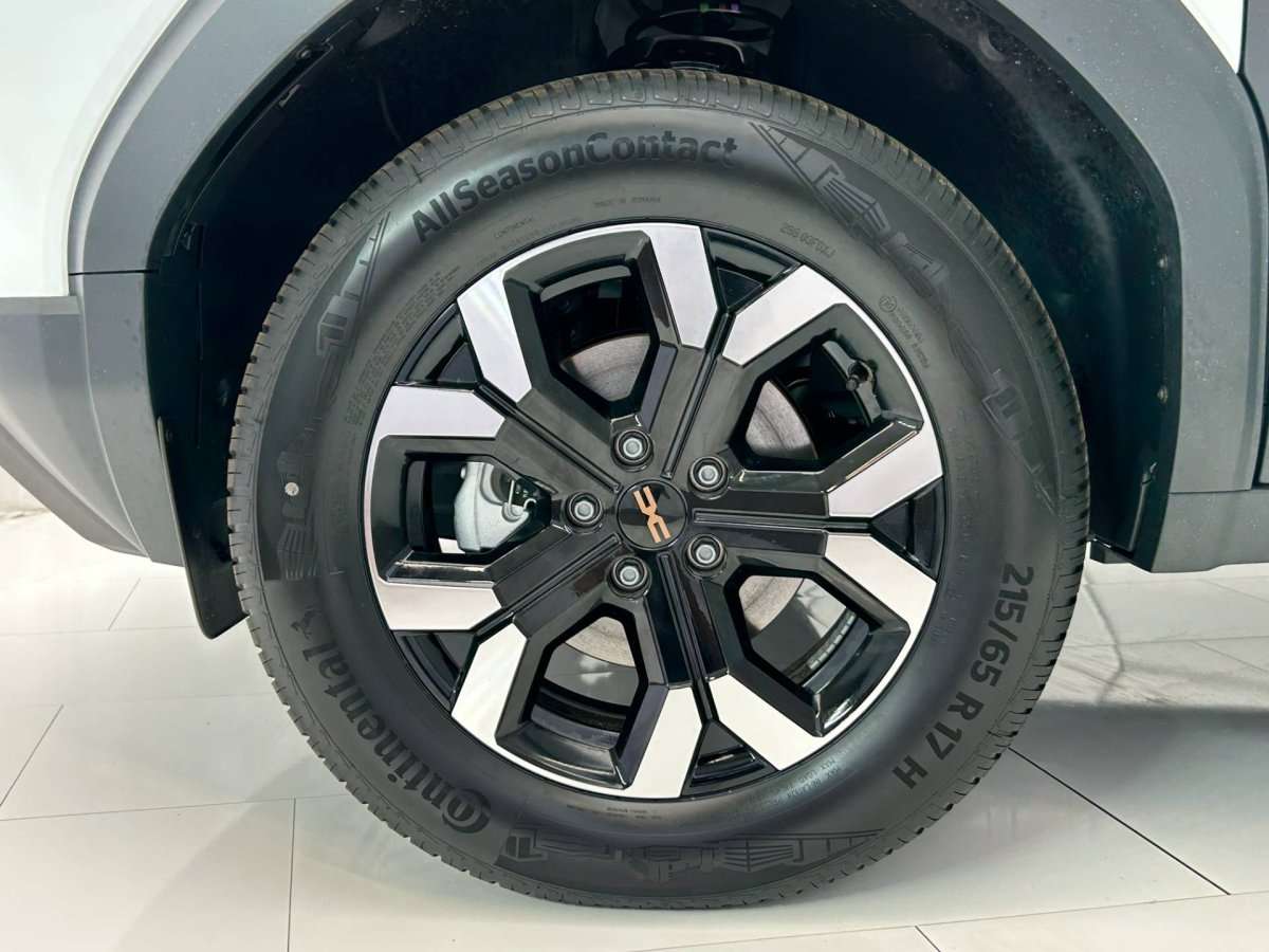 Fahrzeugbild eines Dacia Duster