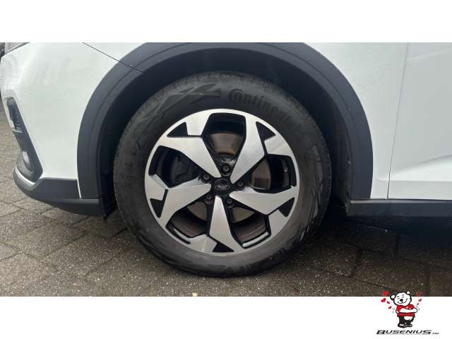 Fahrzeugbild eines Ford Tourneo