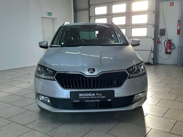 Fahrzeugbild eines Skoda Fabia