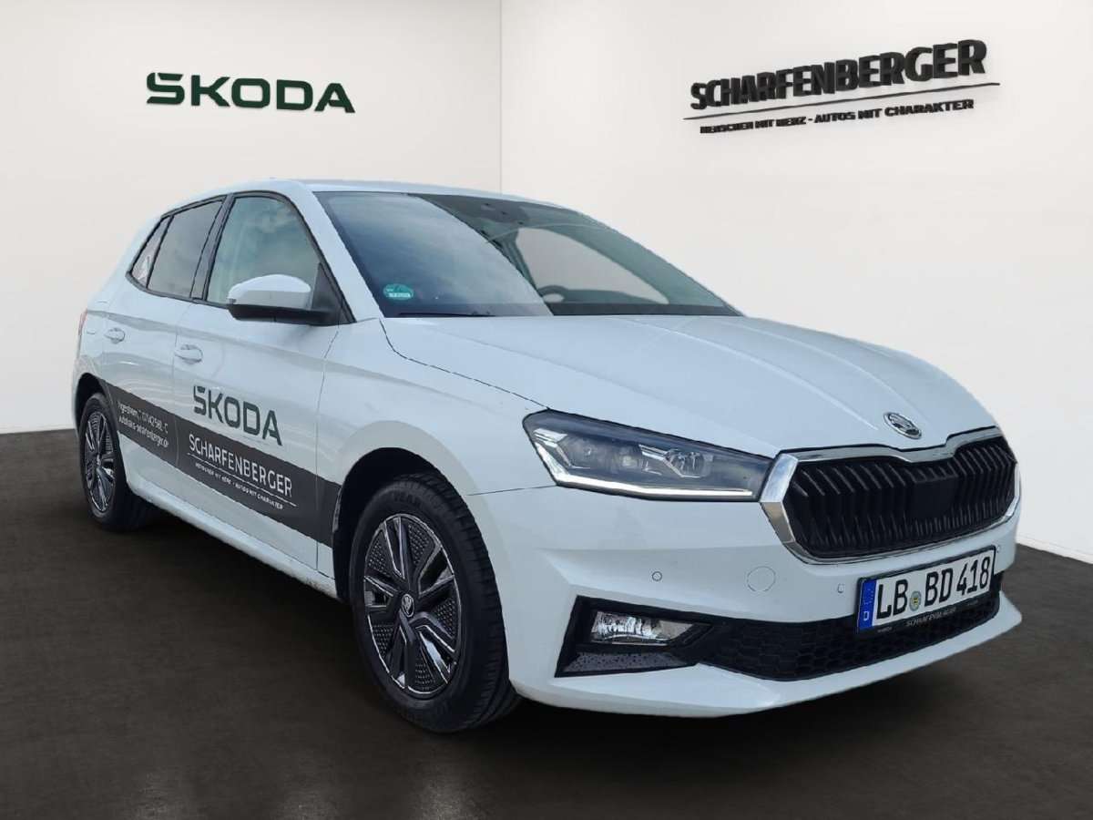 Fahrzeugbild eines Skoda Fabia