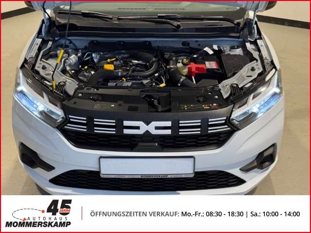 Fahrzeugbild eines Dacia Sandero