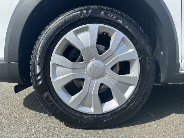 Fahrzeugbild eines Dacia Jogger