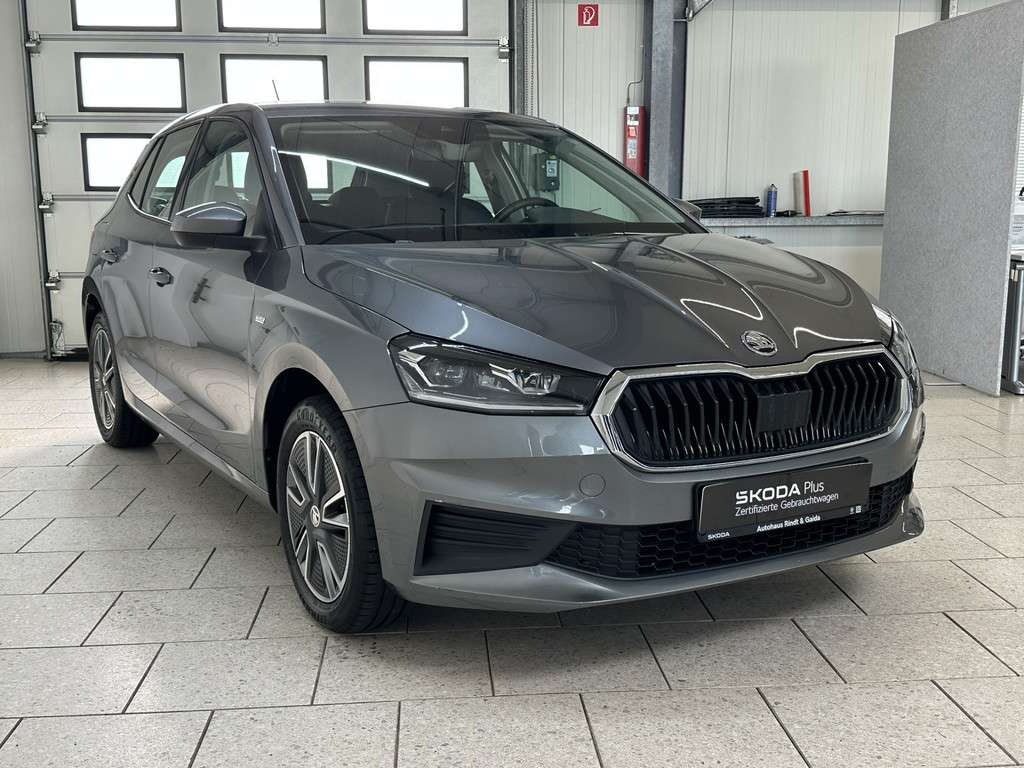 Fahrzeugbild eines Skoda Fabia