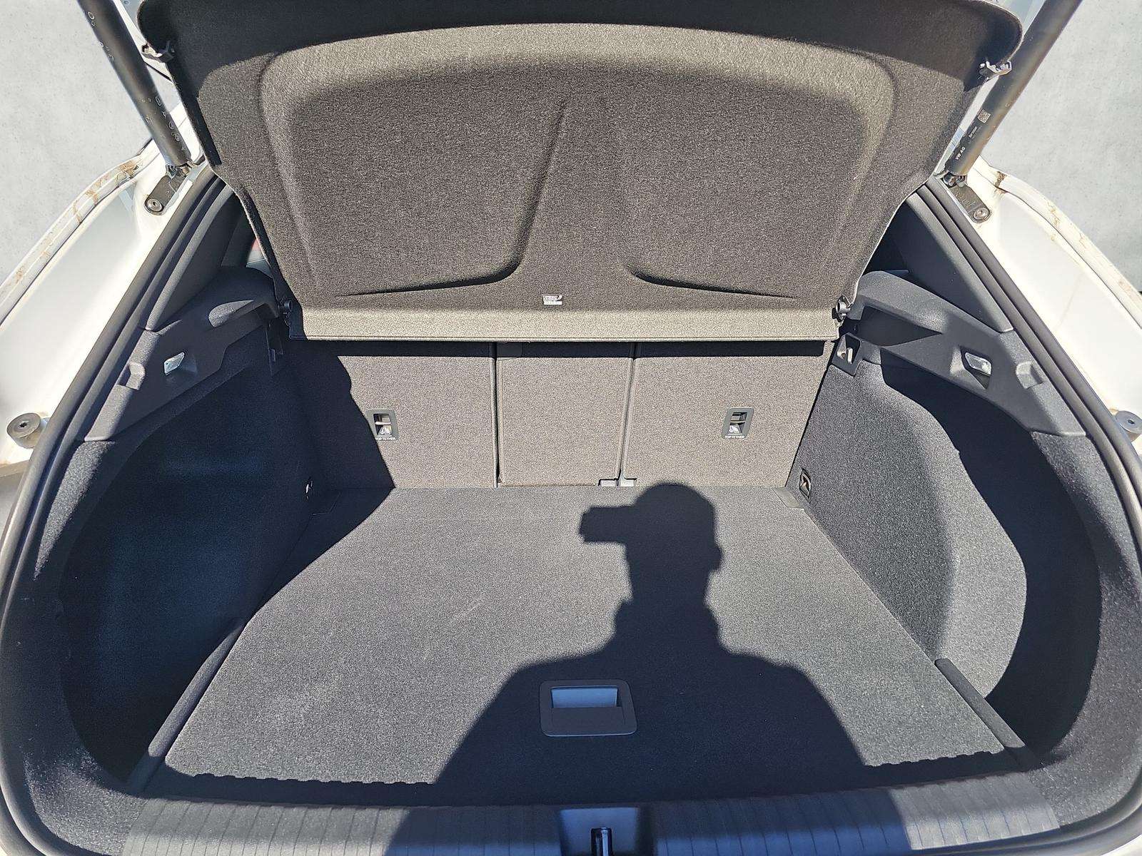 Fahrzeugbild eines CUPRA Terramar