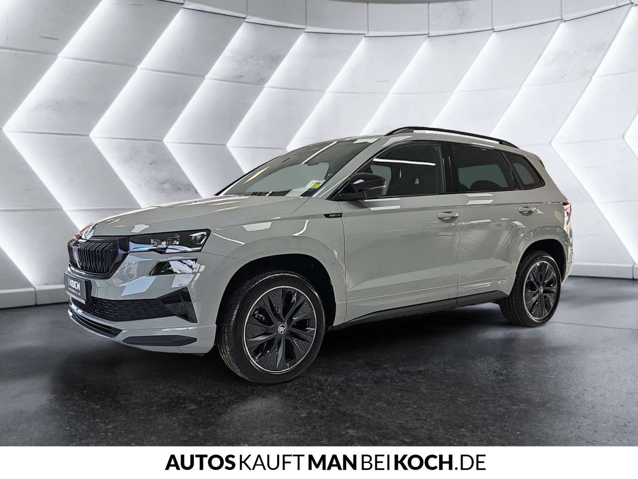 Fahrzeugbild eines Skoda Karoq