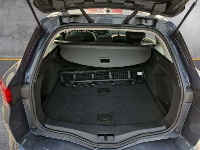 Fahrzeugbild eines Renault Mégane