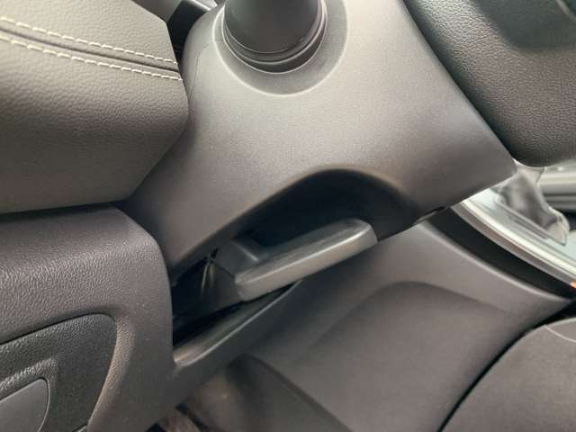 Fahrzeugbild eines Renault Grand Scénic