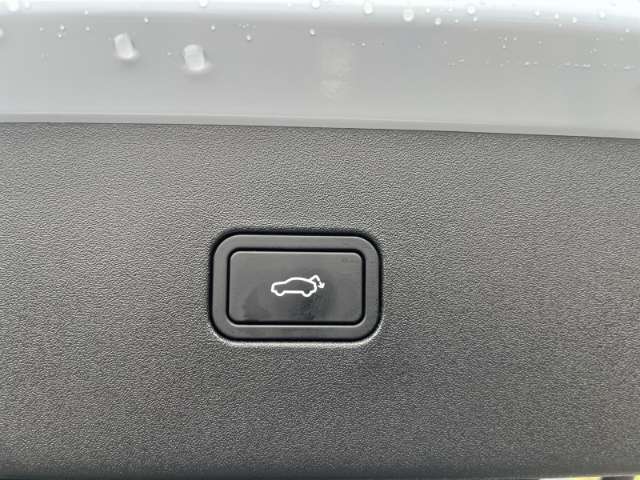 Fahrzeugbild eines Volvo EX30