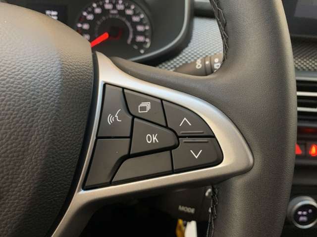 Fahrzeugbild eines Dacia Jogger