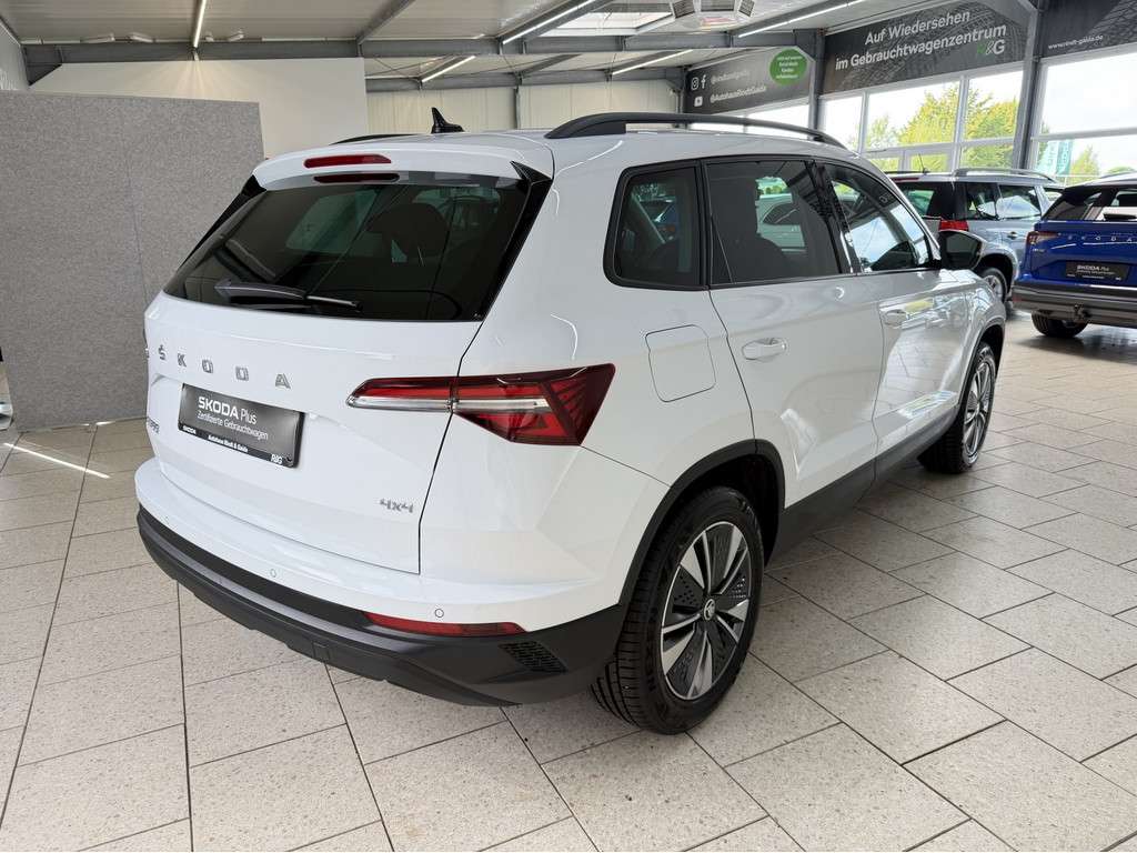 Fahrzeugbild eines Skoda Karoq