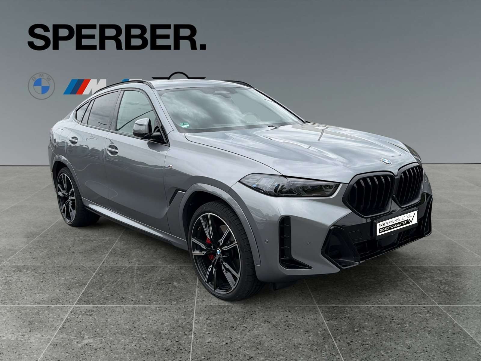 Fahrzeugbild eines BMW X6