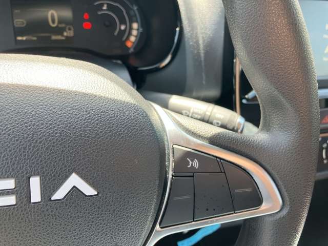 Fahrzeugbild eines Dacia Spring