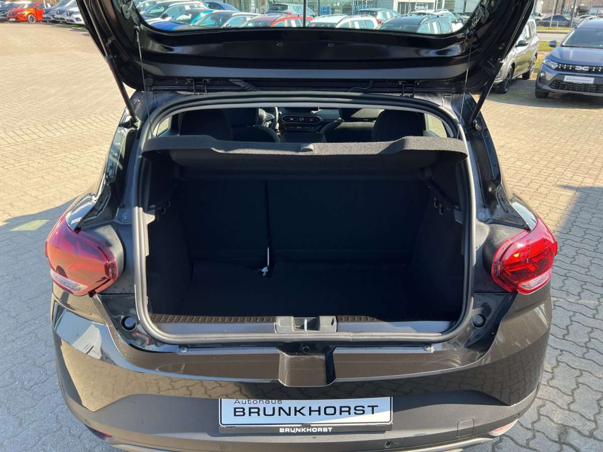 Fahrzeugbild eines Dacia Sandero