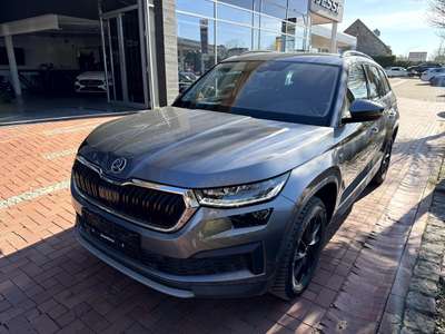 Bild Skoda Kodiaq