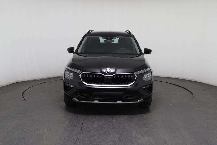 Fahrzeugbild eines Skoda Kamiq