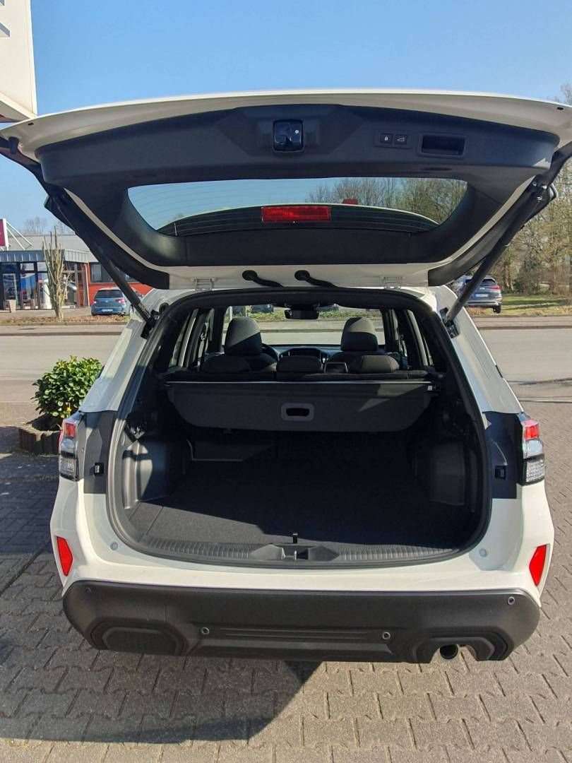 Fahrzeugbild eines Subaru Forester