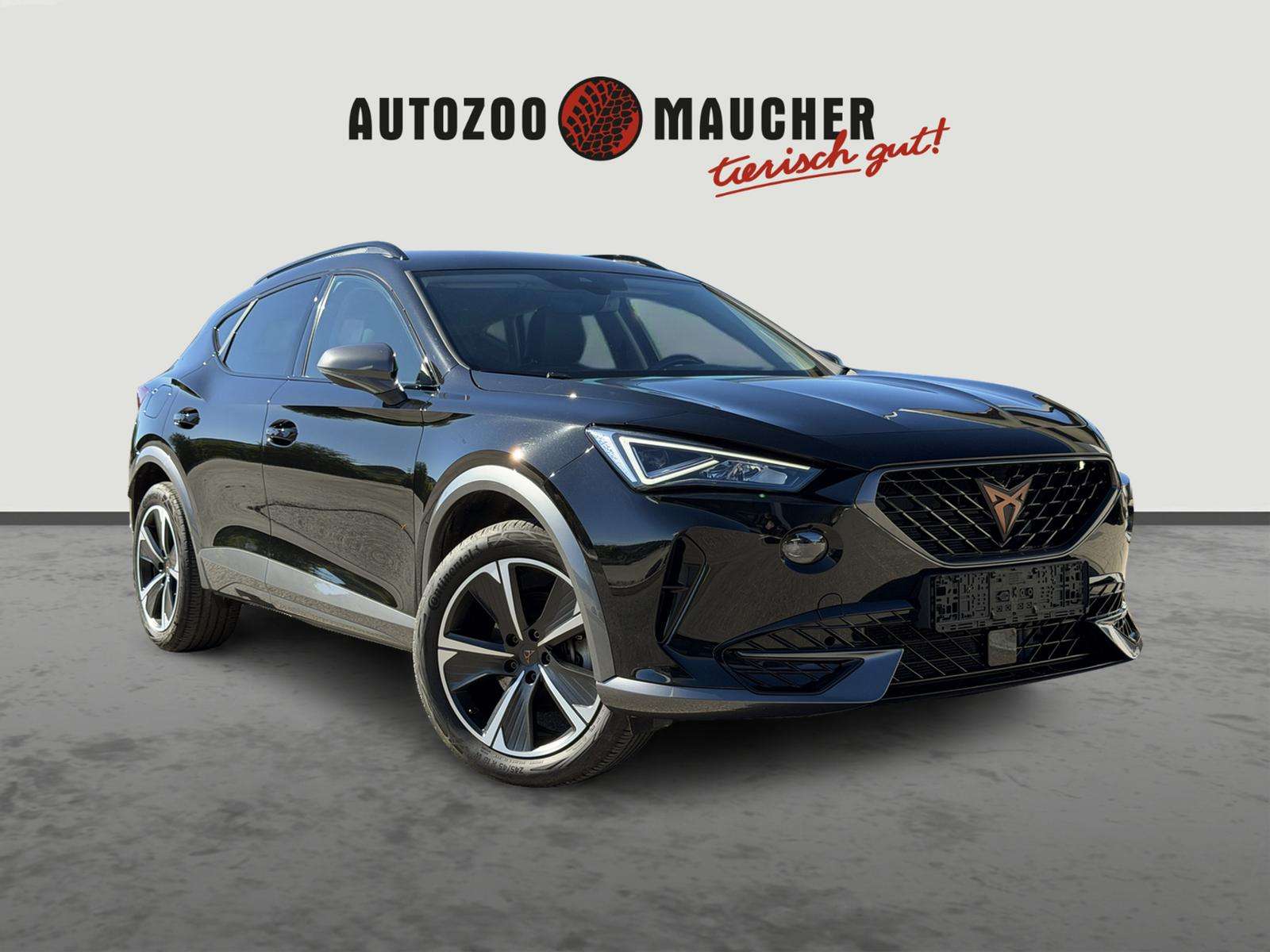 Fahrzeugbild eines CUPRA Formentor