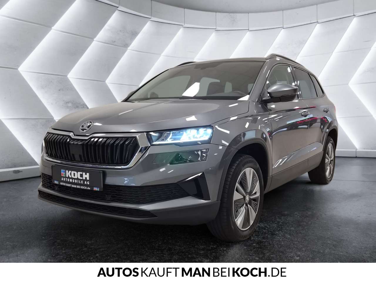 Fahrzeugbild eines Skoda Karoq