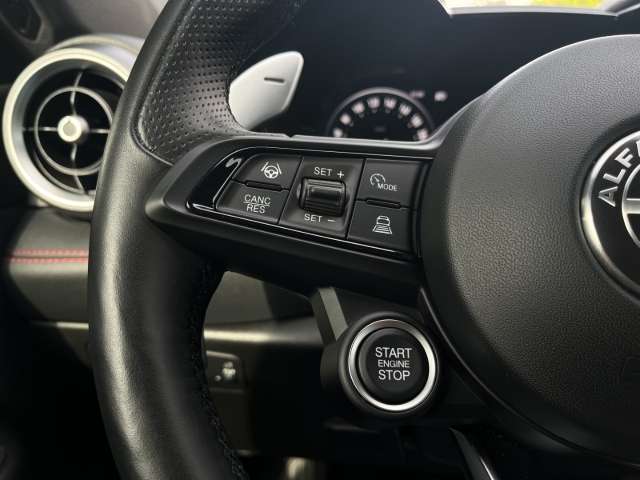Fahrzeugbild eines Alfa Romeo Tonale