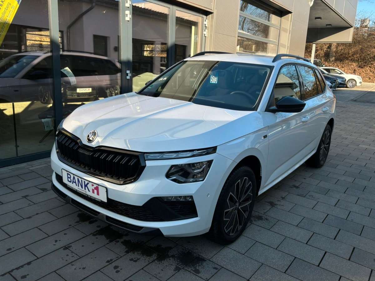 Fahrzeugbild eines Skoda Kamiq