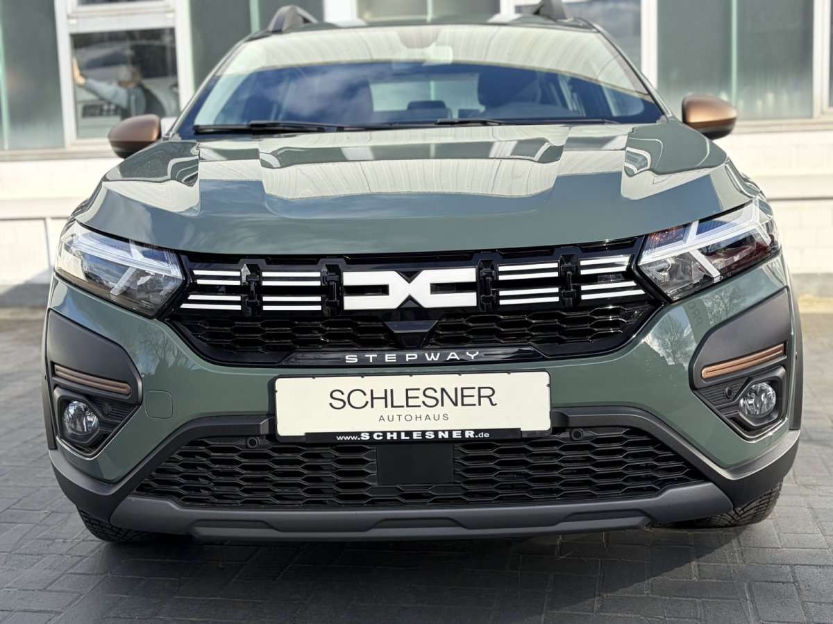 Fahrzeugbild eines Dacia Sandero