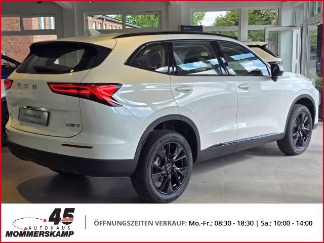 Fahrzeugbild eines GWM Haval H6