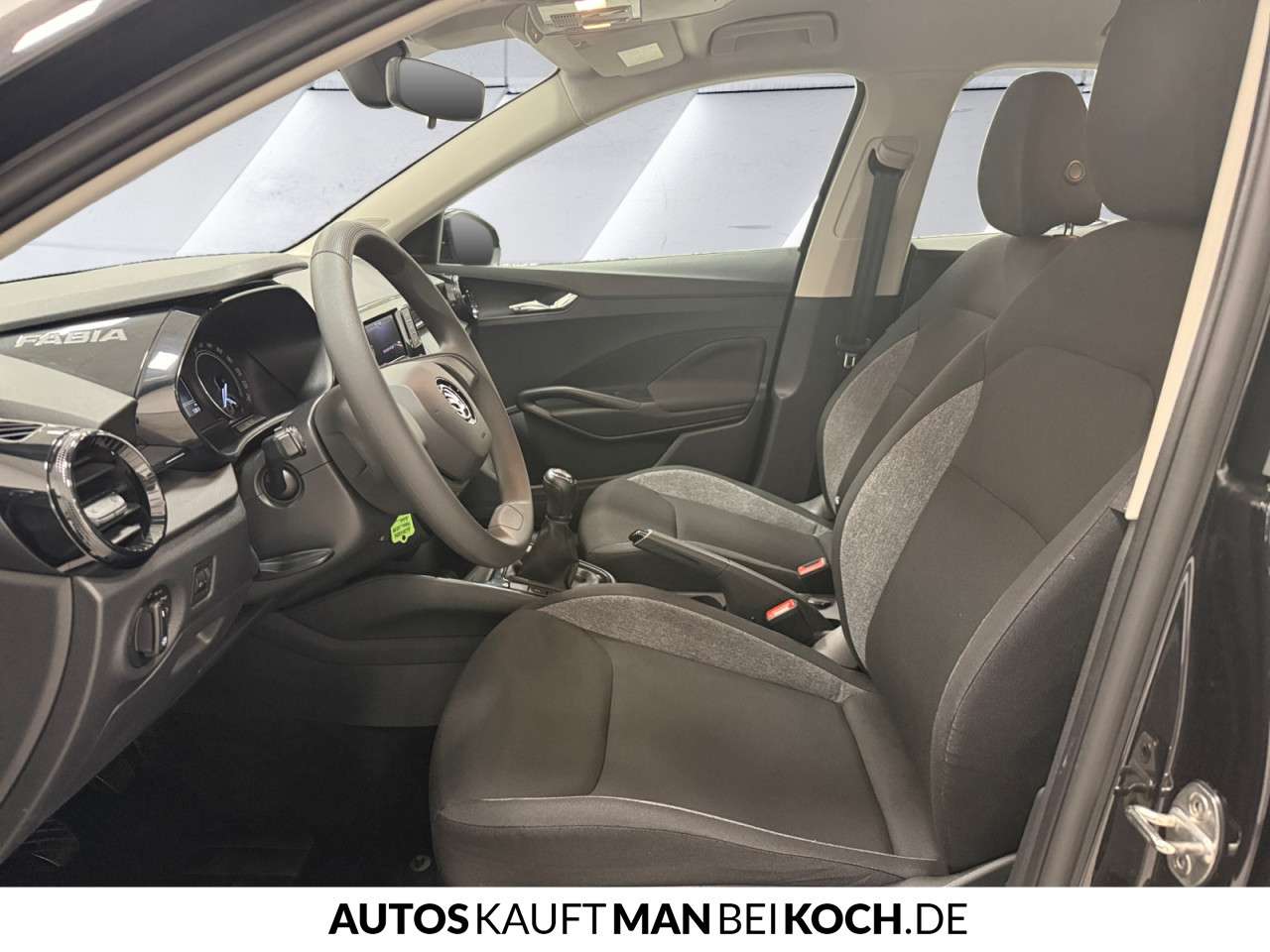 Fahrzeugbild eines Skoda Fabia