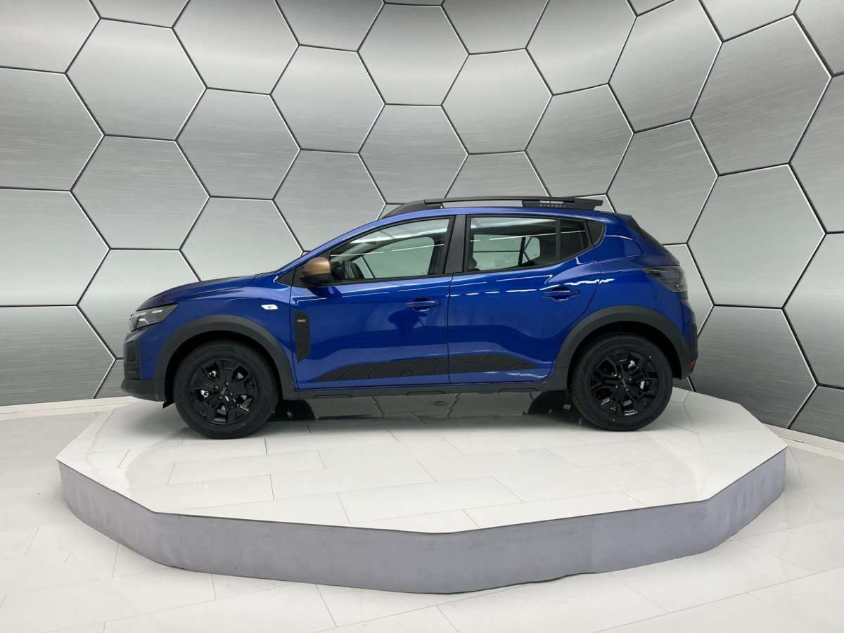 Fahrzeugbild eines Dacia Sandero