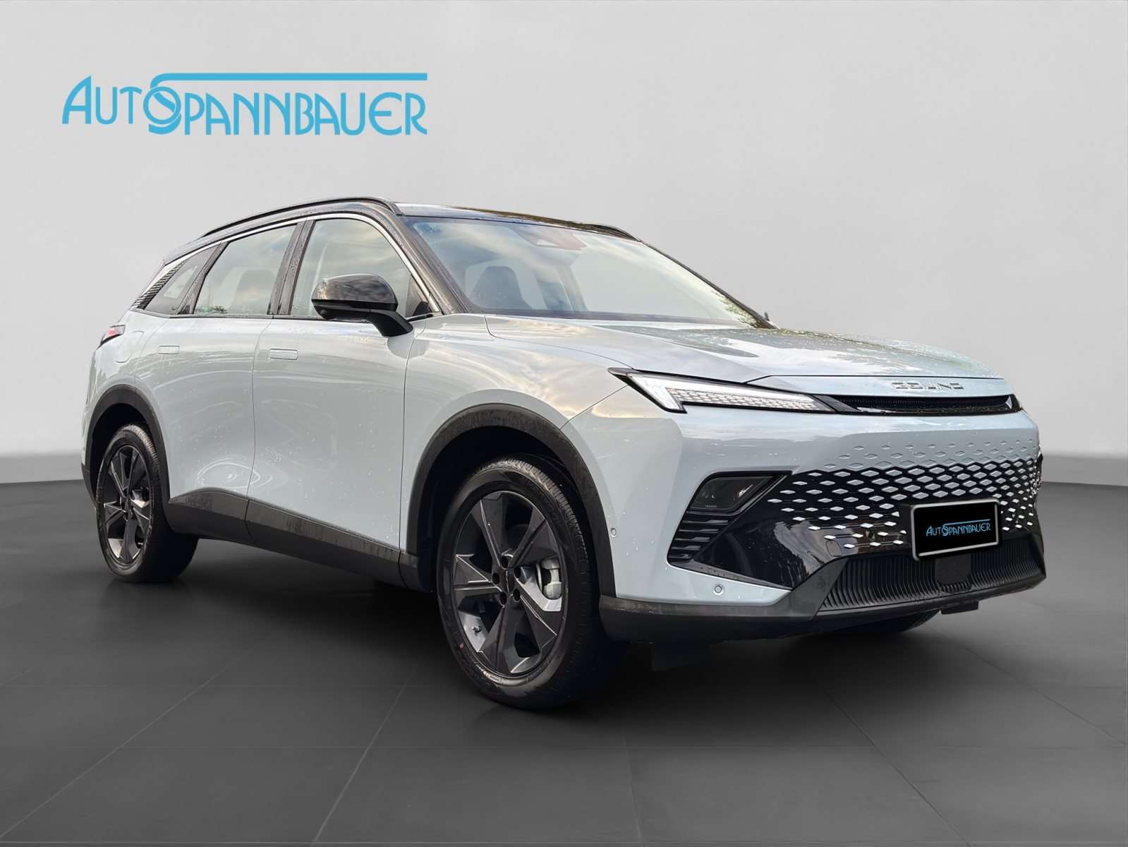 Fahrzeugbild eines BAIC X55