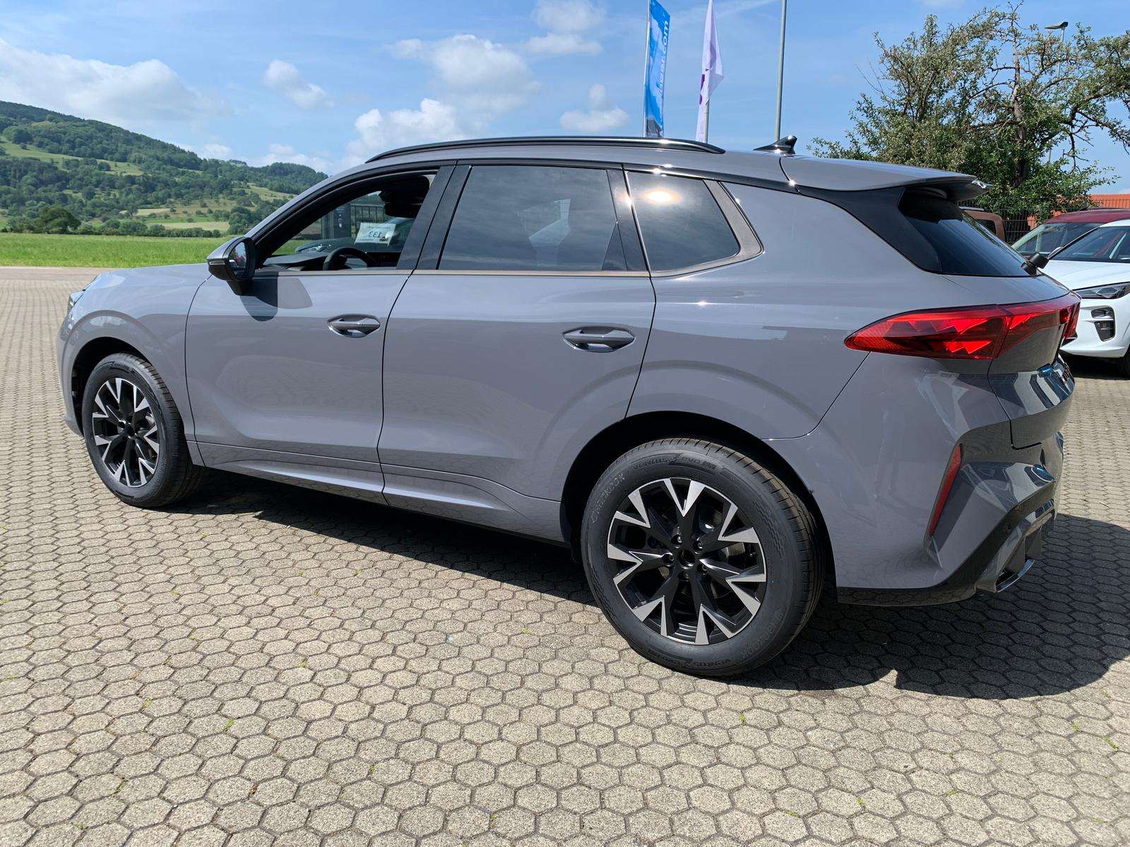 Fahrzeugbild eines CUPRA Terramar