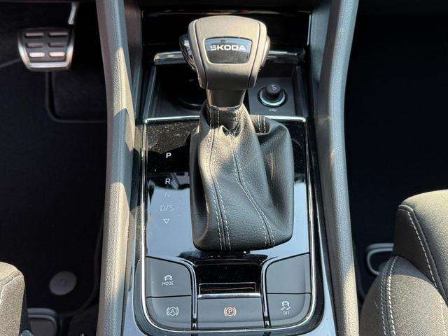 Fahrzeugbild eines Skoda Karoq