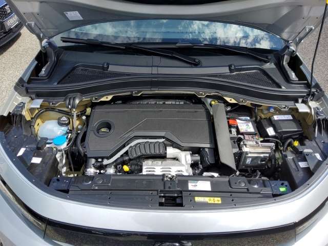 Fahrzeugbild eines Opel Frontera