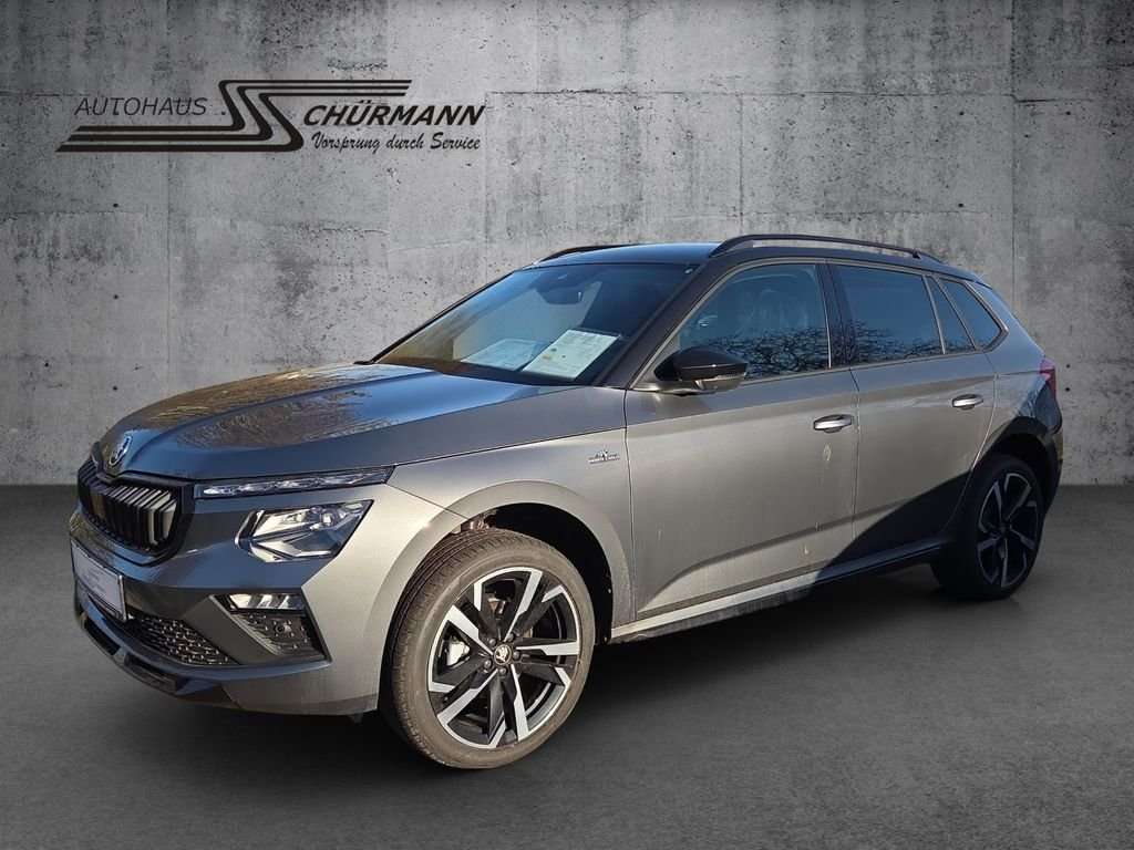 Fahrzeugbild eines Skoda Kamiq