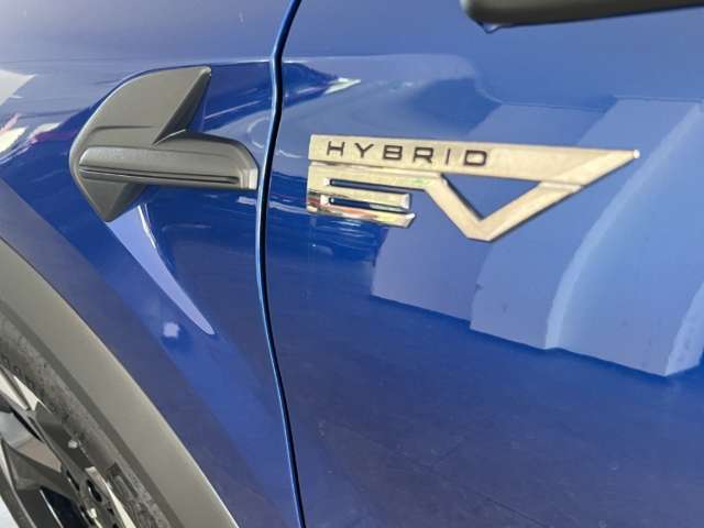 Fahrzeugbild eines Mitsubishi Grandis