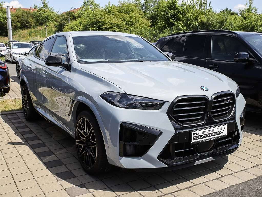 Fahrzeugbild eines BMW X6