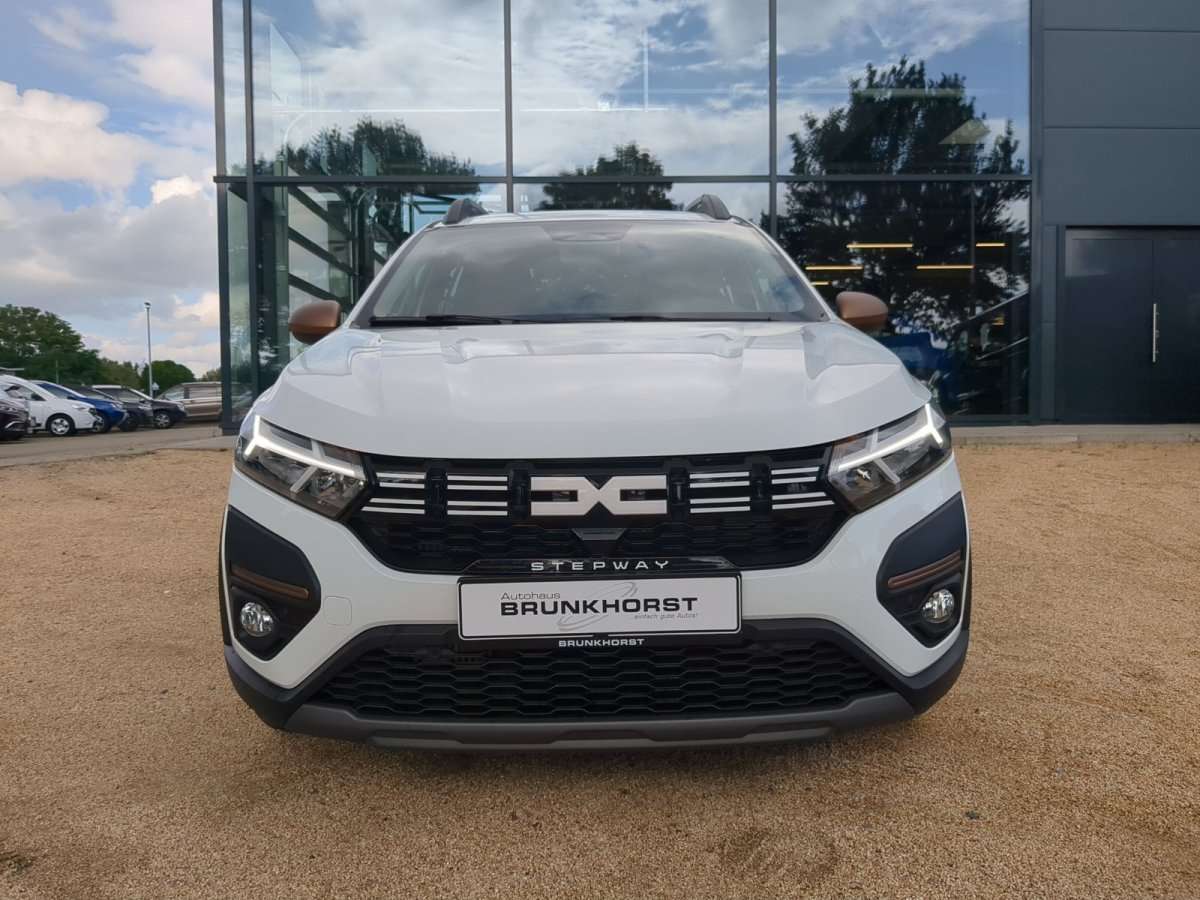 Fahrzeugbild eines Dacia Sandero