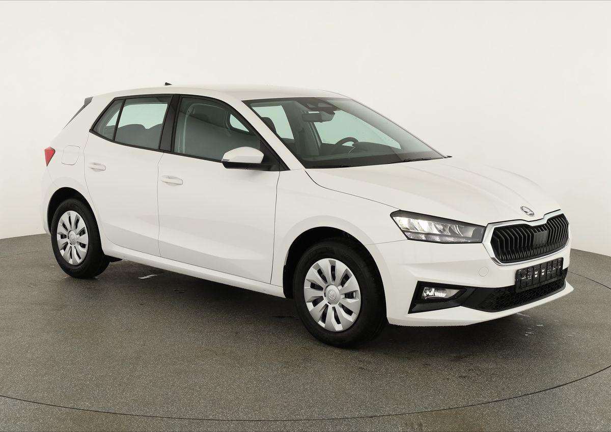Fahrzeugbild eines Skoda Fabia