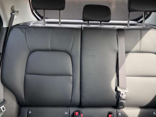Fahrzeugbild eines Kia Picanto