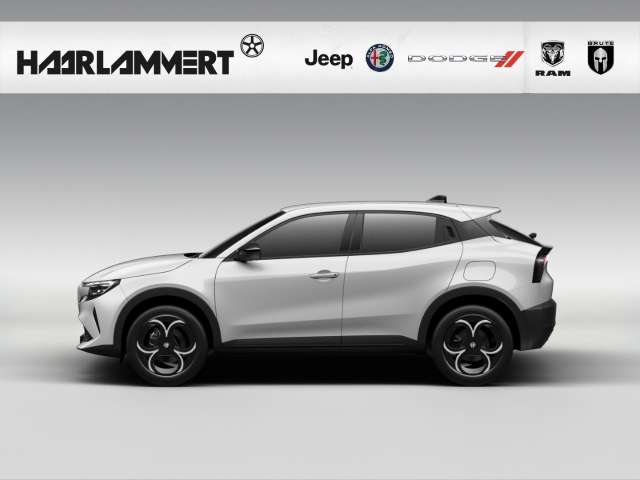 Fahrzeugbild eines Alfa Romeo Junior