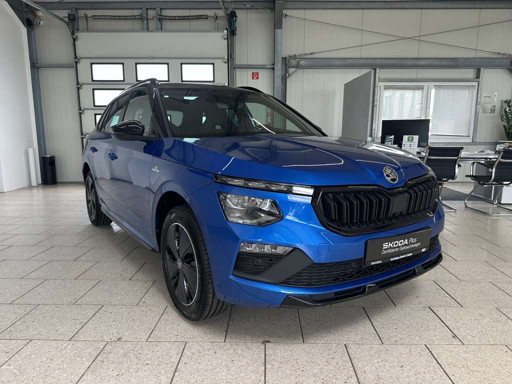 Fahrzeugbild eines Skoda Kamiq