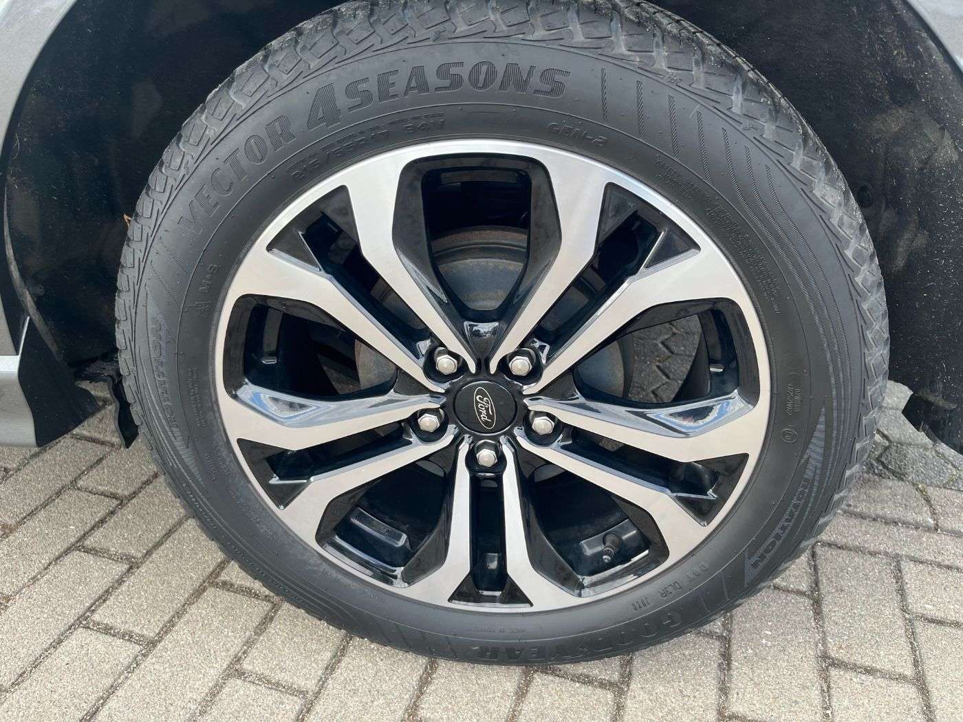 Fahrzeugbild eines Ford Puma